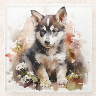 Cute Siberian Husky Puppy Glass Coaster