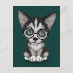 Cute Siberian Husky Puppy Wearing Glasses Teal Postcard