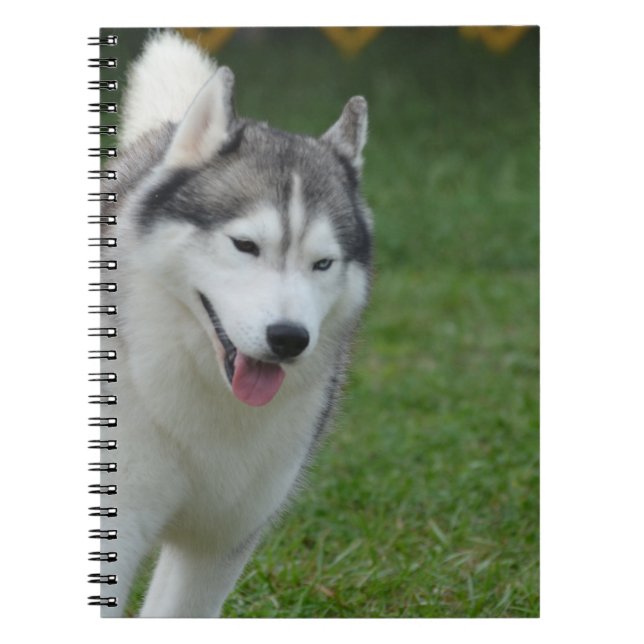 Cute Siberian Husky Spiral Notebook (Front)
