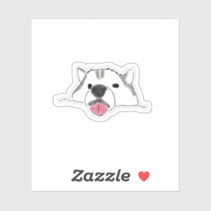 Cute Siberian Husky Sticking Tongue Out