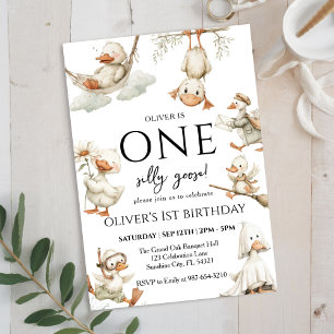 cute Silly Goose ,One Silly Goose 1st Party Invitation