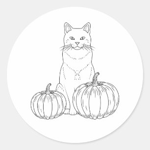 Cute Sitting Cat With Pumpkins Autumn Line Art Classic Round Sticker