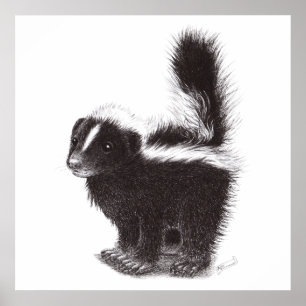 Cute Skunk - Drawing Poster