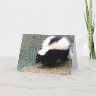 Cute Skunk Greeting Card