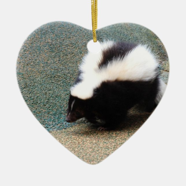 Cute Skunk  Ornaments (Front)