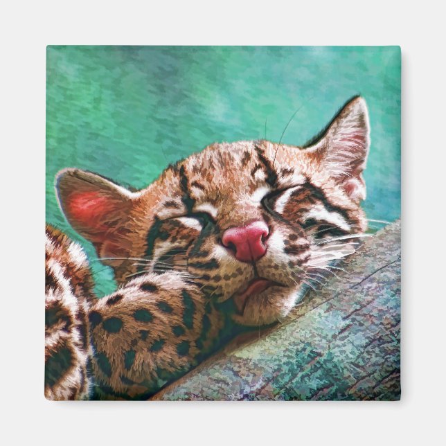 Cute Sleeping Baby Ocelot Kitten Magnet (Front)