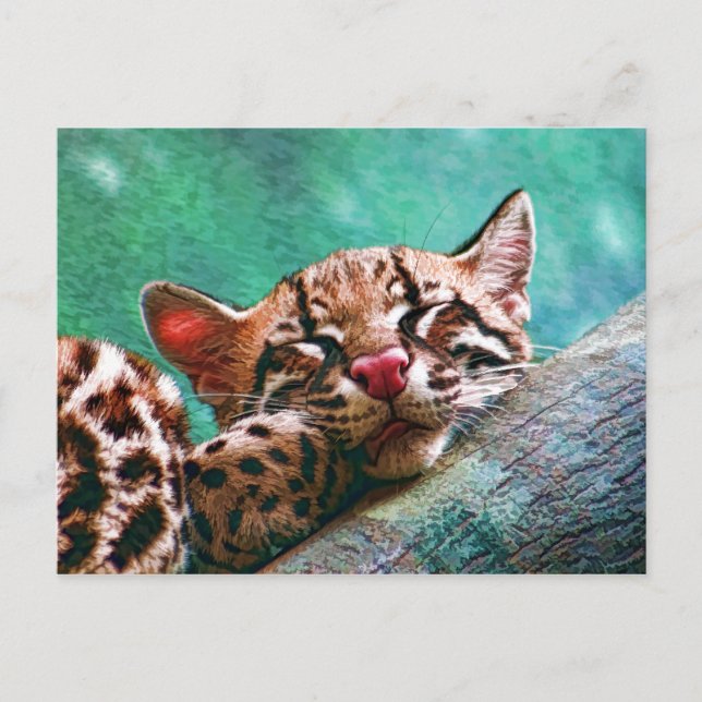 Cute Sleeping Baby Ocelot Kitten Postcard (Front)