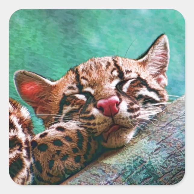 Cute Sleeping Baby Ocelot Kitten Square Sticker (Front)