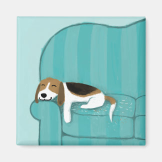 Cute Sleeping Beagle Dog at Home on the Couch Magnet