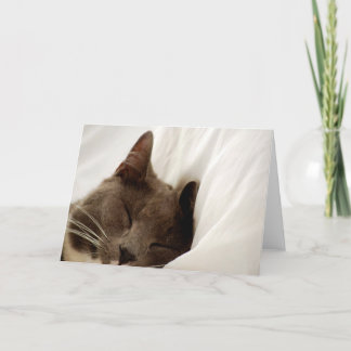 Cute Sleeping Cat Blank Greeting Card