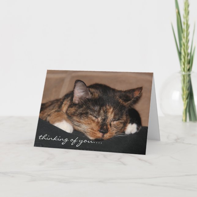 Cute Sleeping Cat Card, Thinking of you... Card (Front)