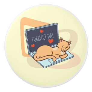 Cute sleeping computer cat ceramic knob