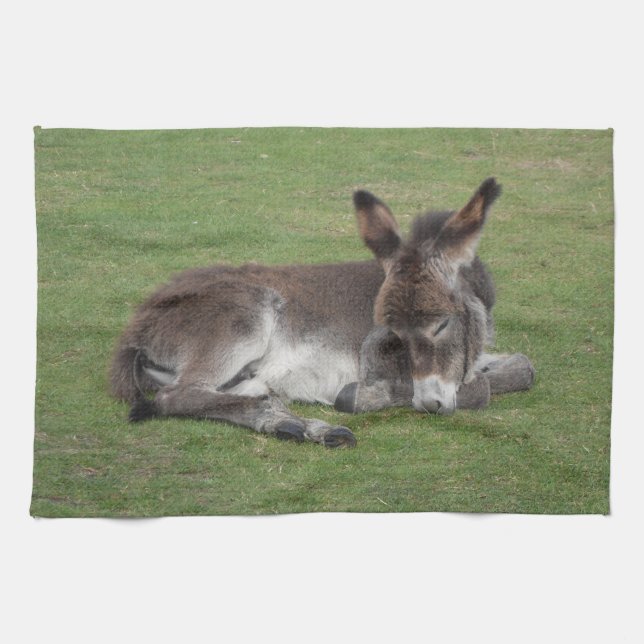 Cute Sleeping Donkey Baby Foal Tea Towel (Horizontal)