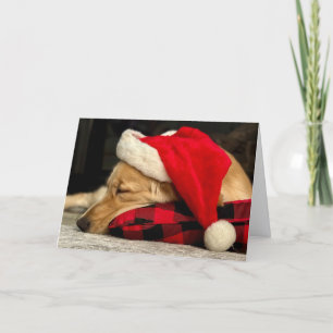 Cute Sleeping Golden Retriever Dog Christmas Holiday Card