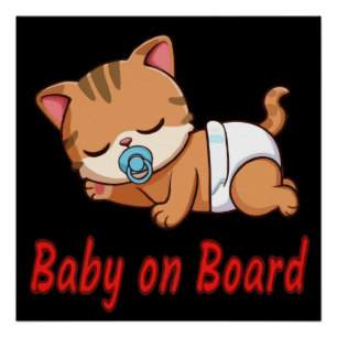 Cute Sleeping Kitten Cat Baby on Board Car Decal Poster