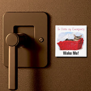 Cute Sleeping Kitten In Bright Red Basket Custom Magnet