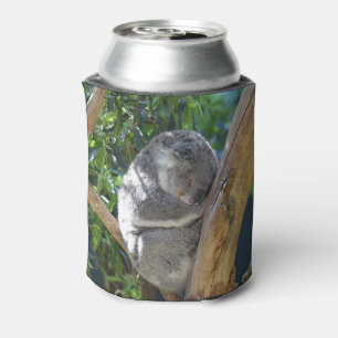 Cute Sleeping Koala in Tree Can Cooler
