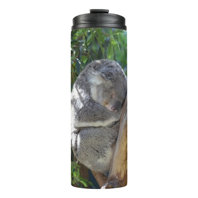 Cute Sleeping Koala in Tree Thermal Tumbler (Front)