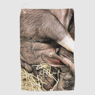CUTE SLEEPING PIGS GOLF TOWEL