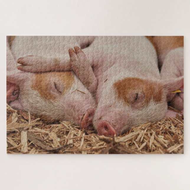 Cute sleeping pigs jigsaw puzzle (Horizontal)