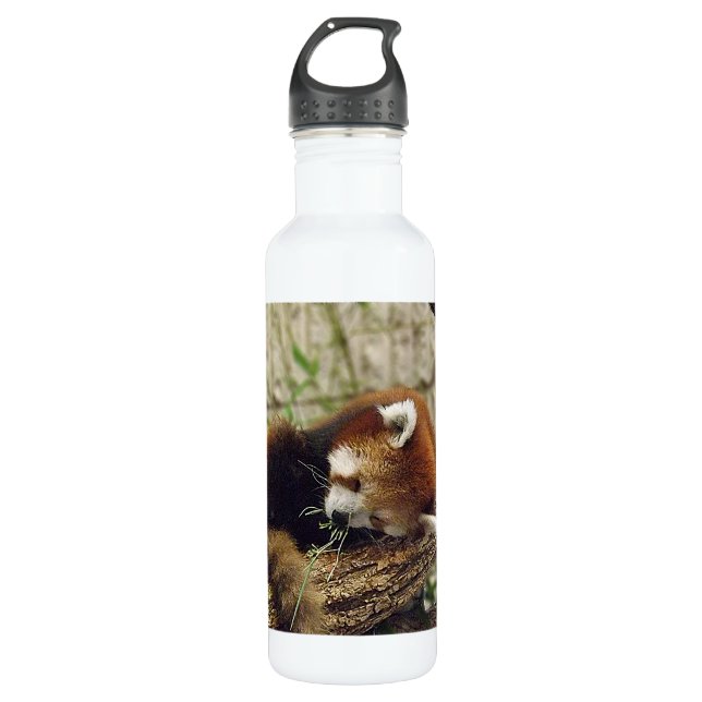 Cute Sleeping Red Panda w/ Food in Its Mouth 710 Ml Water Bottle (Front)