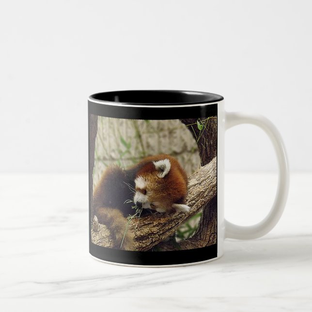 Cute Sleeping Red Panda w/ Food in Its Mouth Two-Tone Coffee Mug (Right)