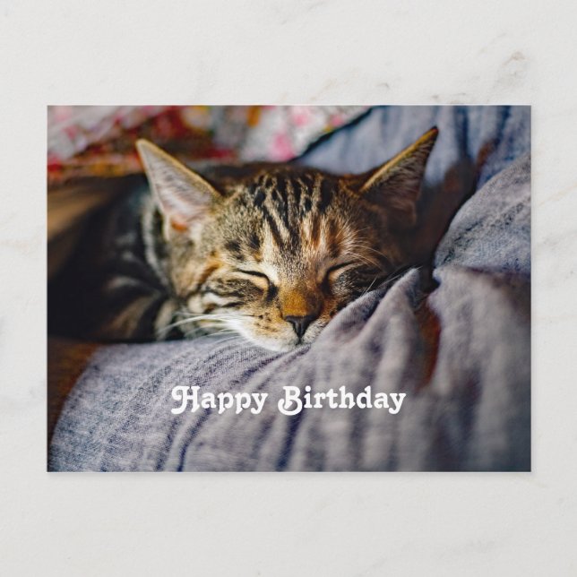 Cute Sleeping Tabby Cat Photo Birthday Postcard (Front)