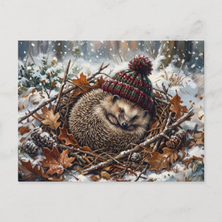 Cute Sleeping Winter Hedgehog Art Holiday Postcard