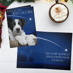 Cute Sleepy Black White Puppy Starry Sky Custom Holiday Card