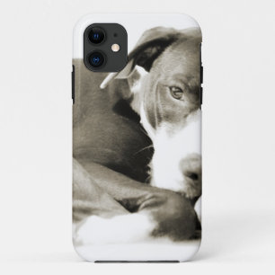 cute sleepy lazy pit bull dog Case-Mate iPhone case