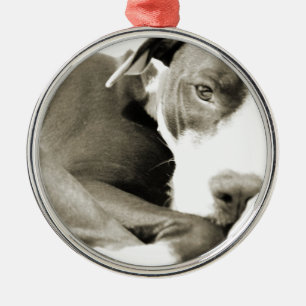 cute sleepy lazy pit bull dog metal tree decoration