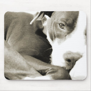 cute sleepy lazy pit bull dog mouse pad