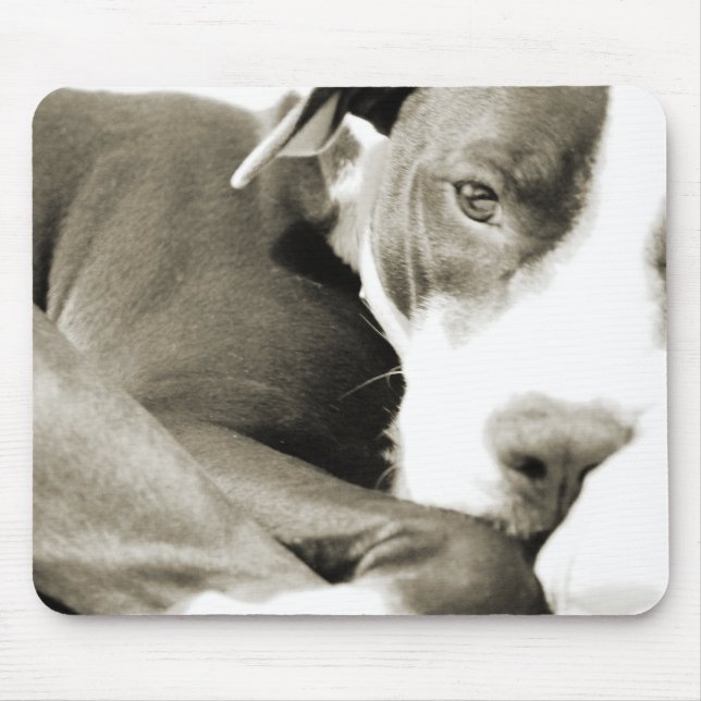 cute sleepy lazy pit bull dog mouse pad (Front)