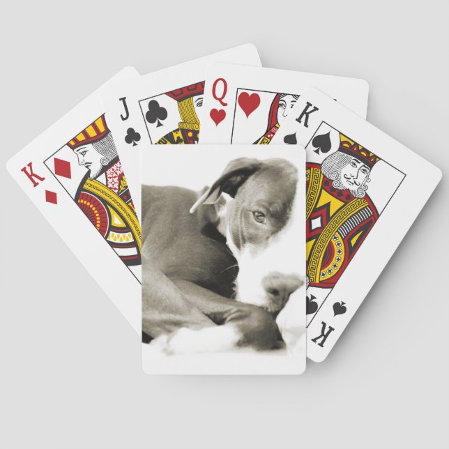 cute sleepy lazy pit bull dog playing cards (Back)