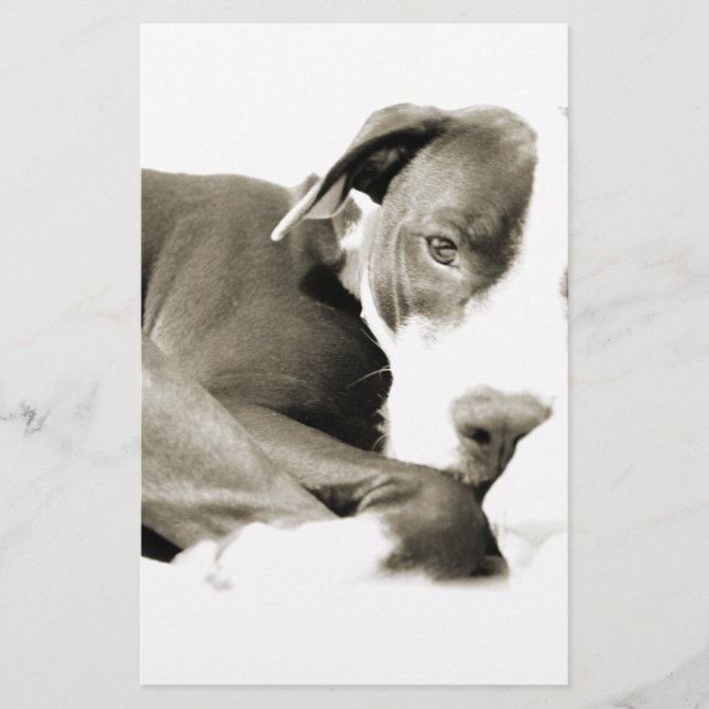 cute sleepy lazy pit bull dog stationery (Front)