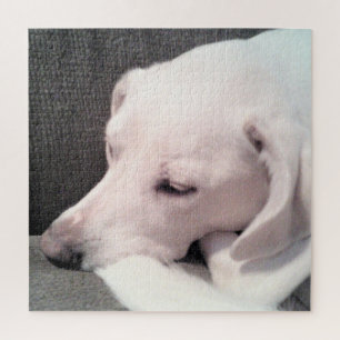 Cute Sleepy White Labrador Retriever Mix Dog Jigsaw Puzzle