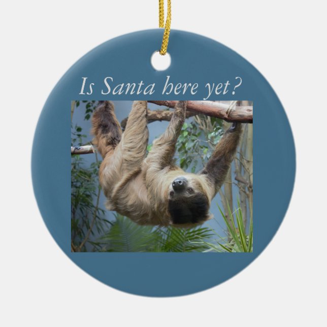 Cute Sloth Ceramic Tree Decoration (Front)