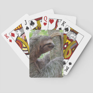 Cute Sloth Playing Cards
