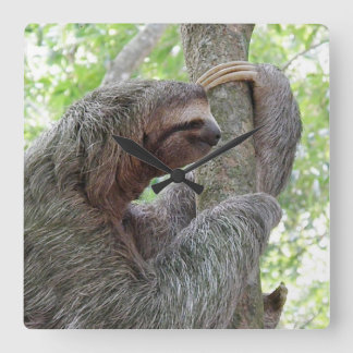 Cute Sloth Square Wall Clock