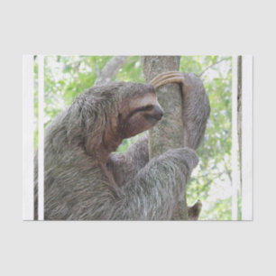 Cute Sloth Tissue Paper