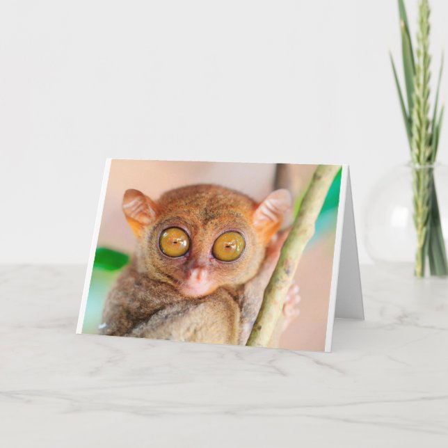 Cute Slow Loris Birthday Card (Front)