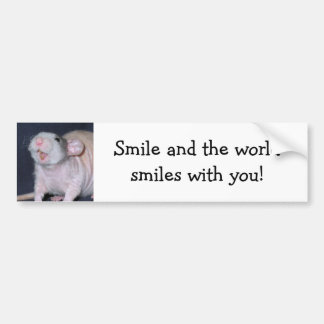 Cute Smile Rat Bumper Sticker