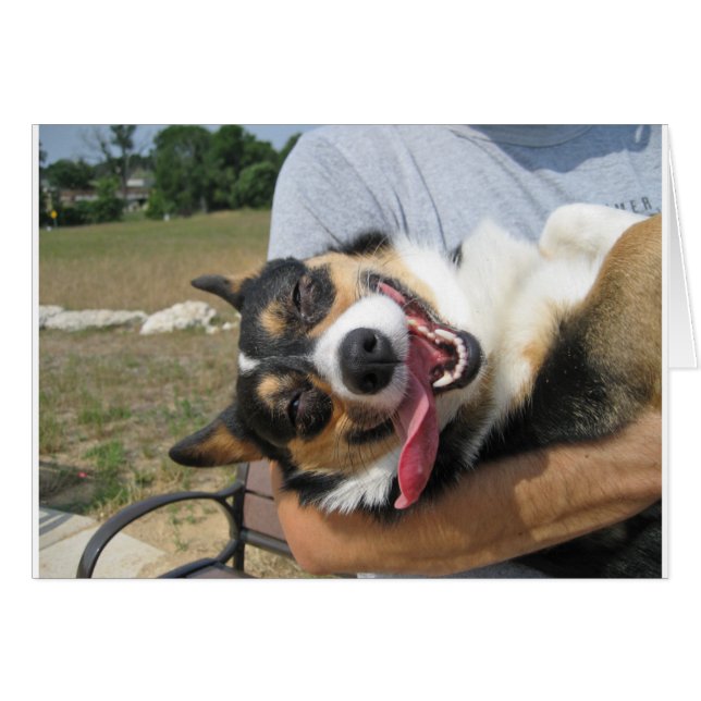Cute Smiling Corgi Dog (Front Horizontal)