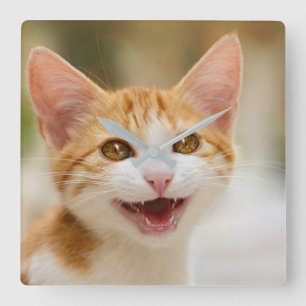 Cute Smiling Kitten Funny Cat Meow Photo - acrylic Square Wall Clock
