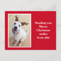 Cute Smiling Reindeer Puppy Dog Red Christmas