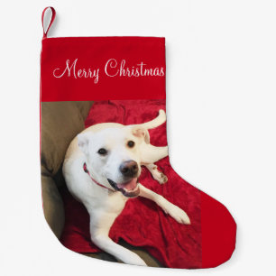 Cute Smiling White Lab Mix Dog Christmas Small Christmas Stocking