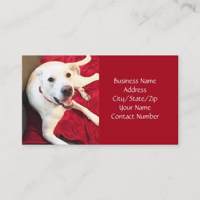 Cute Smiling White Puppy Dog Red Christmas Business Card (Front)