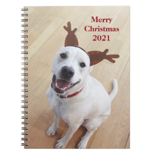 Cute Smiling White Reindeer Dog Christmas Notebook