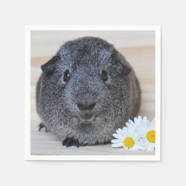 Cute Smooth, Silver Agouti Guinea Pig and Daisies Napkin (Front)