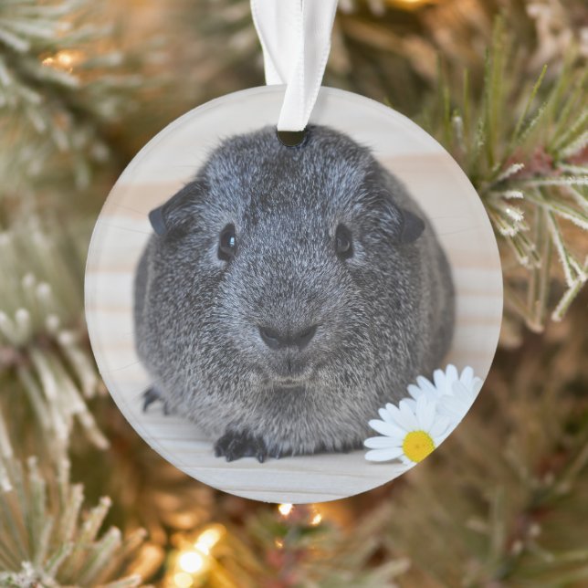 Cute Smooth, Silver Agouti Guinea Pig and Daisies Ornament (Tree)